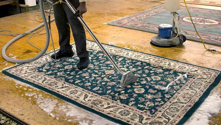 Person professionally cleaning a rug with specialised machinery
